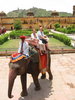 a ride on an elephant!