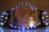 UFC Title w/lights