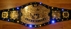 WWE Title w/lights