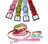 sweet leash's in all colors