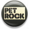 * My pet Rocks! *