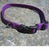 Purple Unisex Collar
