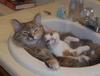 a bath for two in the sink
