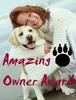 Amazing Owner Award