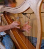 Harp