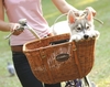 Wicker Cruiser Pet Bike Basket