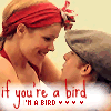 ♥If your a bird. Im a bird♥ 