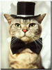 Top Hat and Bow Tie