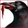 Zombie Crow