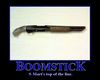 a boom stick