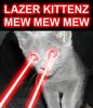 Lazer Kittenz
