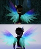 Magik Wings