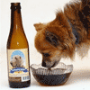 Pet Beer