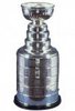 the cup