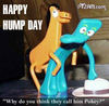 Happy Hump Day...