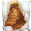 Virgin Mary Grilled Cheese