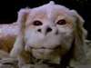 A ride on Falcor