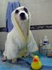 animal robe