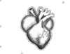 The Heart of an Undying Lover