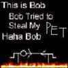 No stealing my pets! Or else!