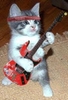 kitty guitar