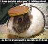 Have a pancake hat!