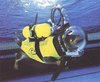 Pet Trick - Scuba Diving