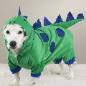 Dino Dog costume