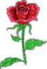 A Beautiful Rose for Beautiful U