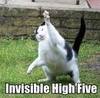 High Five!!!