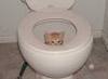 Toilet training course