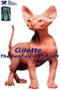 gilette the best a man can get