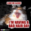 Bad hair day