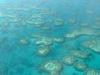 Diving on Great Barrier Reef