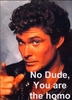 Dont Hassel the Hoff