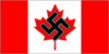 Ontario Liberal party Flag