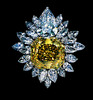 128carat Tiffany Diamond brooch