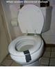 toilet seat holder downthingy