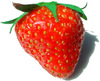 Strawberry Rusn