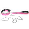 Pink collar &amp; leash