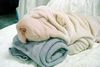 comfy towel