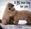 Big bear hugs