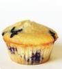 Blueberry Muffin