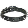 spike collar