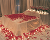 A bed of red roses