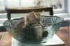 A kitten in a bowl