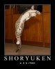 Teach your Cat to do a Shoryuken