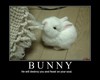 Bunny of DOOOOM!!!