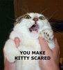 You scare the kitty!!