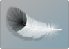 a feather / une plume